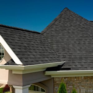 64e5105c56c97a5edb34a3f0_max1